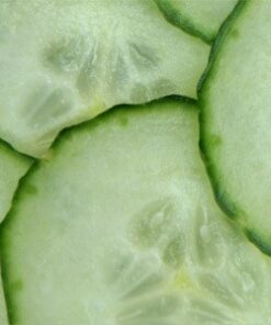 058 Cucumber Fragrance (DPG, phthalate and alcohol free)