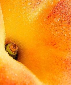 069 Peach Fragrance (DPG, phthalate and alcohol free)