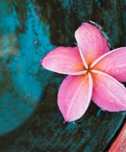 Temple Flowers Essential Oil Blend (EO98)