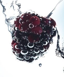 Water Berry Fragrance (170)