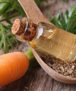 Carrot Seed Oil - PCARROT