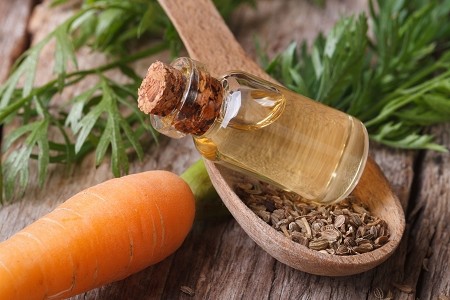 30363832 - useful carrot seed oil in glass bottle on the table close-up