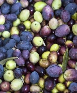 Olive Seed Exfoliant