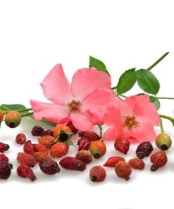 Rosehip Seed Oil - (PROSE)