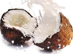 Coconut Fragrance (DPG, phthalate and alcohol free) -108