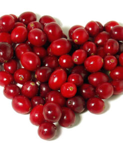 127 Cranberry Fragrance (DPG, phthalate and alcohol free)