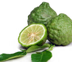 Kaffir Lime Leaf Essential Oil (EO45)