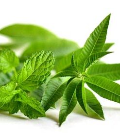 Lemon Verbena Essential Oil (blend) (EO52)
