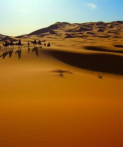 132 Organic Moroccan Amber (organic fragrance)