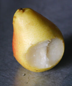 Pear Fragrance - 027