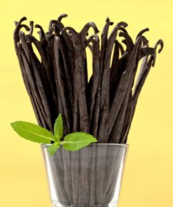 168 Peppermint Vanilla EO/Fragrance blend