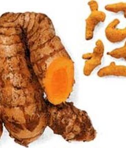 Turmeric Essential Oil (EO50)