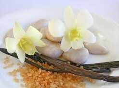Vanilla Essential Oil (absolute) (EO35)