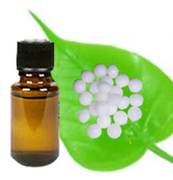 White Camphor Essential Oil (EO54)