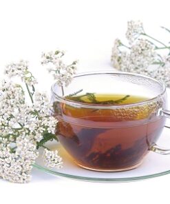 Yarrow, Green Essential Oil (EO79)